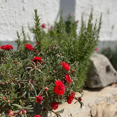 House Marin Dvor Vikendica Vrsine