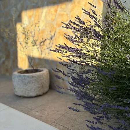 House Marin Dvor Vikendica *